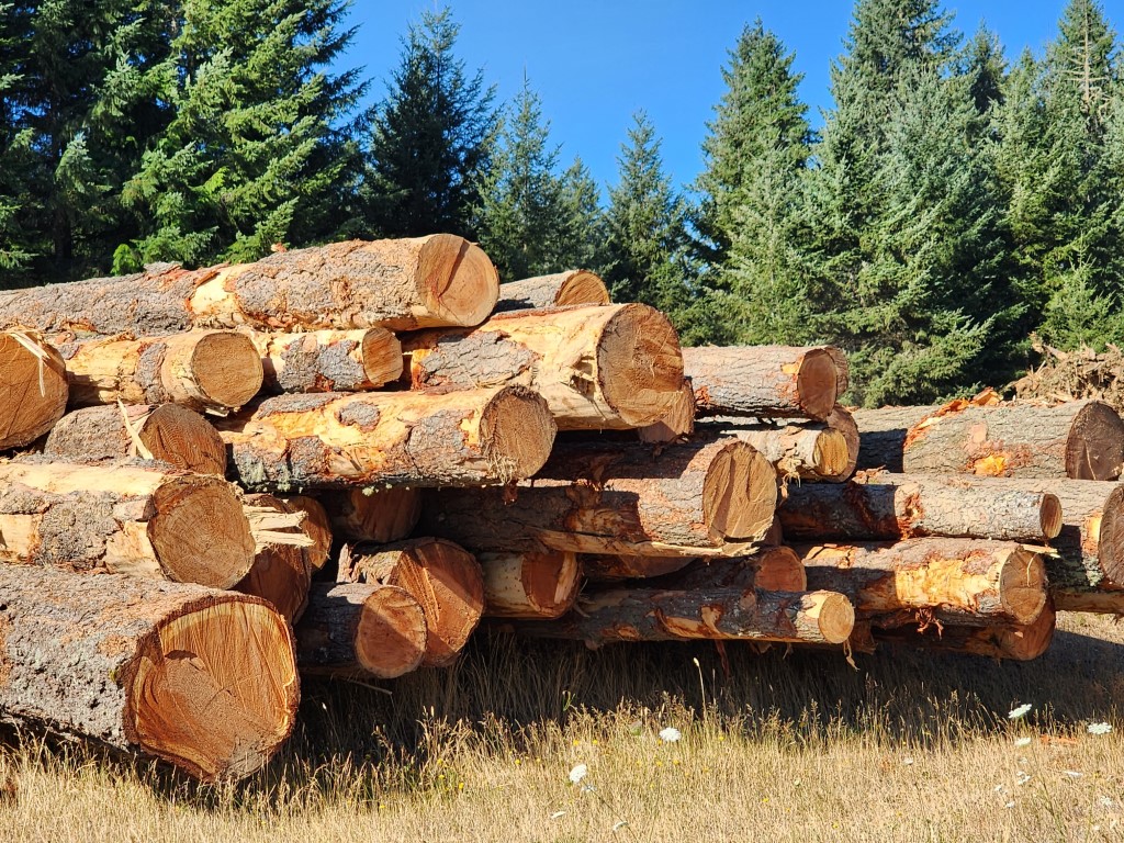 Logs